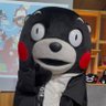 Profilbild von 熊本熊