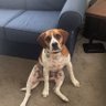 Norman Redmer's profile picture