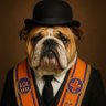 The Loyal Dug's profile picture
