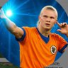 Haalandinho's profile picture