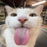 Profilbild von 你破防的樣子真可愛😹