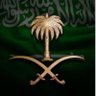 سفاح بن مجلاد 的头像