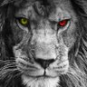 Profilbild von Arq. Suarez Luis Lad