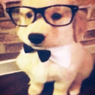 ‧˚꒰🐾୭ ˚. 🐰's profile picture