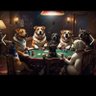 Фото профиля Fed up American