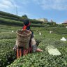 Azize Uluderya 的头像