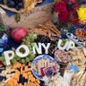 Ponyup_sallaD's profile picture