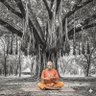 Sane Sandesh's profile picture