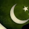 aliyar bangash's profile picture