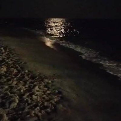 Sirin9581_1's profile picture