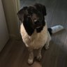 DonEDavie profil fotoğrafı