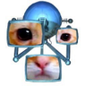 VOMIT's profile picture