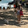 Paloma Almeida profil fotoğrafı