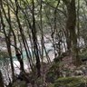 fujinnoheya 的头像