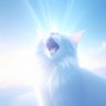 Profilbild von willioda