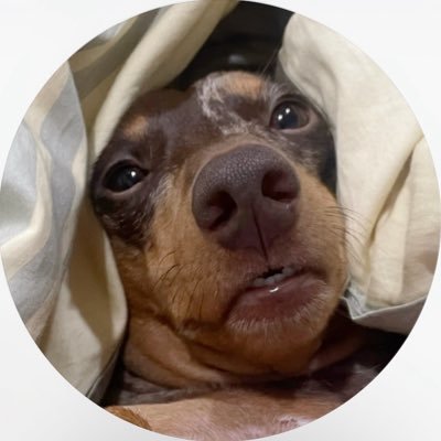 jerrylovesohmkr's profile picture