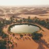 Desert Soul 的头像