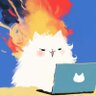 NA.Kartoon🦊's profile picture