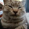 Sun CY's profile picture