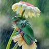 Фото профиля GypsyQb33