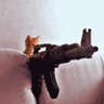 Max's profile picture