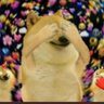 Harry_potter's profile picture