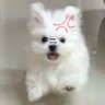 휴엘's profile picture