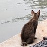 fryyyakk profil fotoğrafı