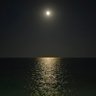 eamseams1's profile picture