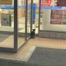 ゆうき's profile picture