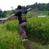 Profilbild von Opang_Online