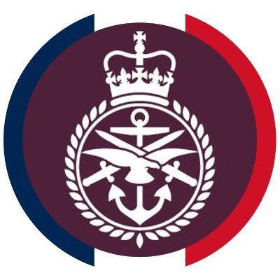 UK Defence in France's profile picture