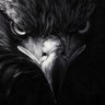 EagleBlack's profile picture