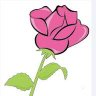 محمد أبوالقاسم الميرغتي's profile picture