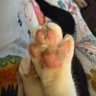 Mae Mck profil fotoğrafı