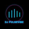 Profilbild von DJ Pulsevibe