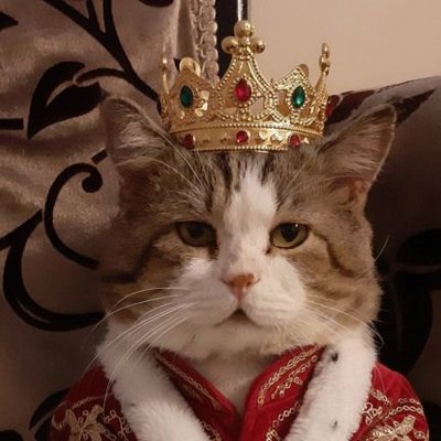 k0p0ll's profile picture