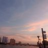 Фото профиля yuzupooh