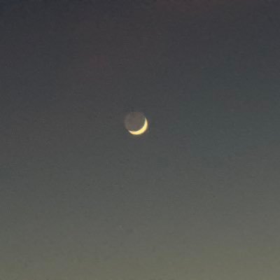 Hunting's profile picture