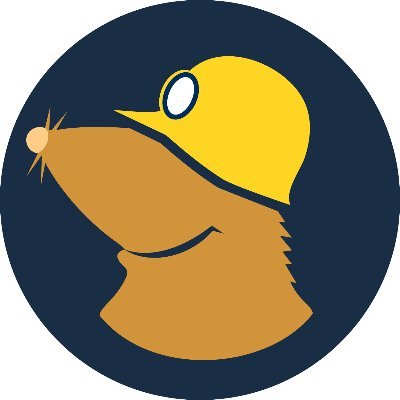 Mullvad.net's profile picture