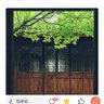 成都S女王反差熊建竹 profil fotoğrafı