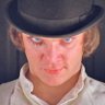 Freedom Seeker's profile picture