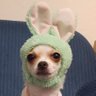 Profilbild von 💜Hiro💚