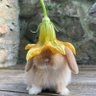 ShucksNiceToMeetYou profil fotoğrafı