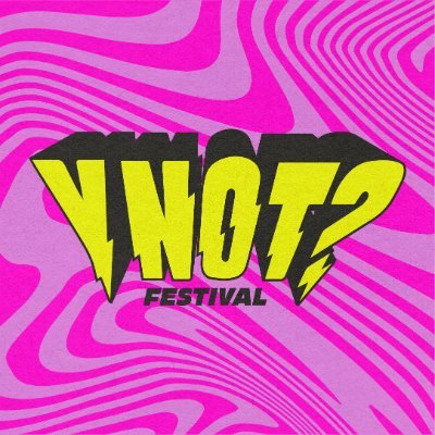 ynotfestival's profile picture