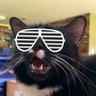 Yai profil fotoğrafı