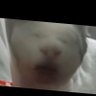 VVVvvvvv's profile picture