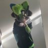 Bolt 🐺🐉 🔜 Home's profile picture