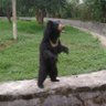 Sy profil fotoğrafı