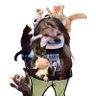 Profilbild von Future Cat Lady
